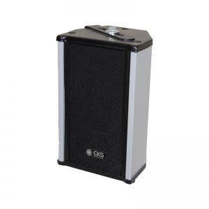 Installation Speaker Model CKS-15T